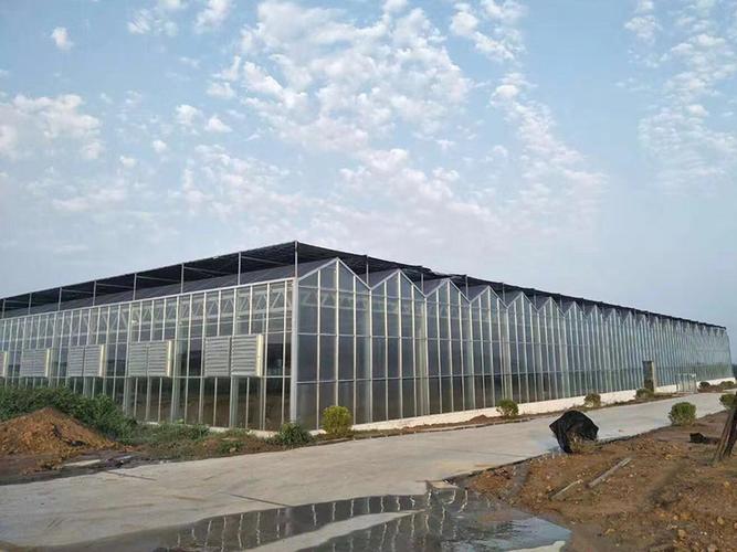植物工廠的技術(shù)有哪些優(yōu)勢(shì)？